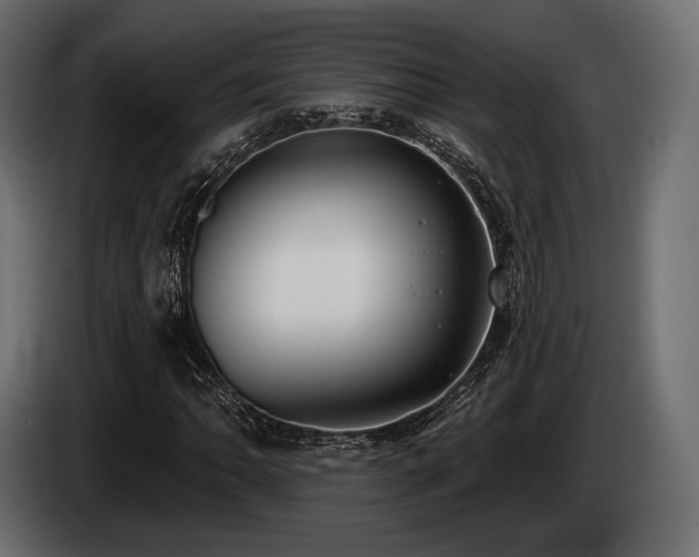 X0000085041062200703051346