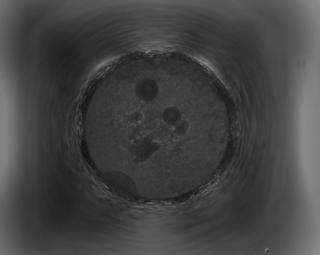 X0000085041063200703051346