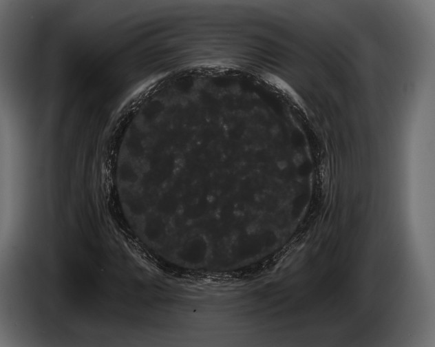 X0000085041064200703051346
