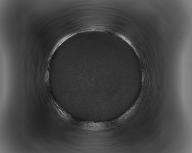 X0000085041066200703051346