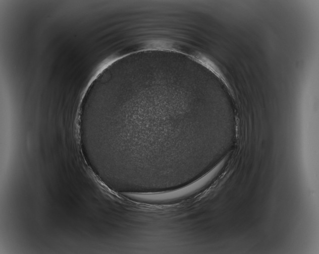 X0000085041068200703051346