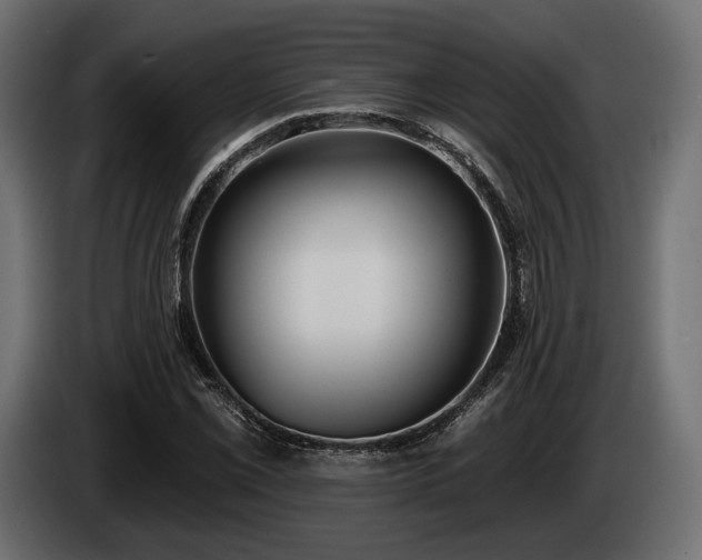 X0000085041069200703051346