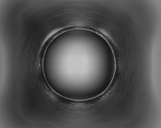 X0000085041070200703051346