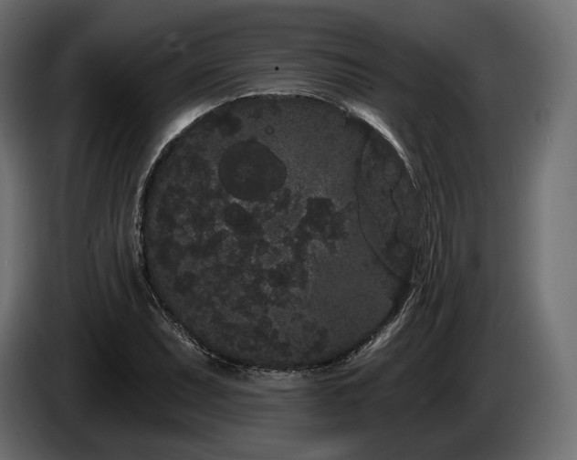 X0000085041071200703051346
