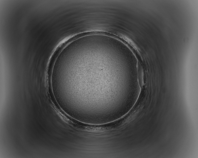 X0000085041072200703051346