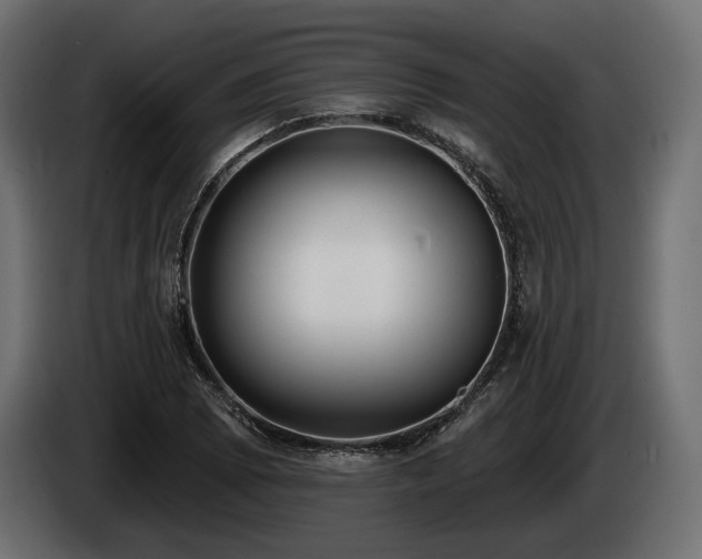 X0000085041073200703051346