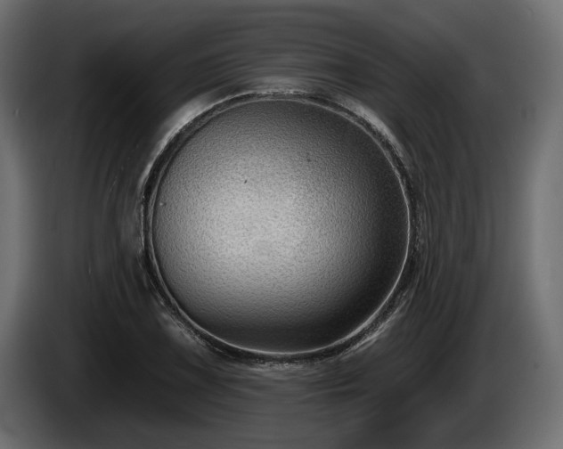 X0000085041075200703051346