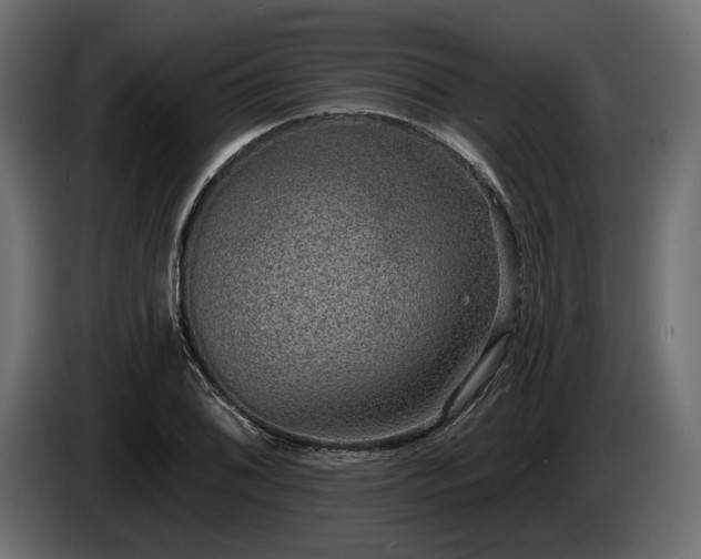 X0000085041076200703051346
