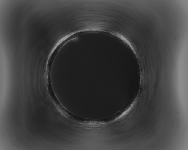 X0000085041077200703051346