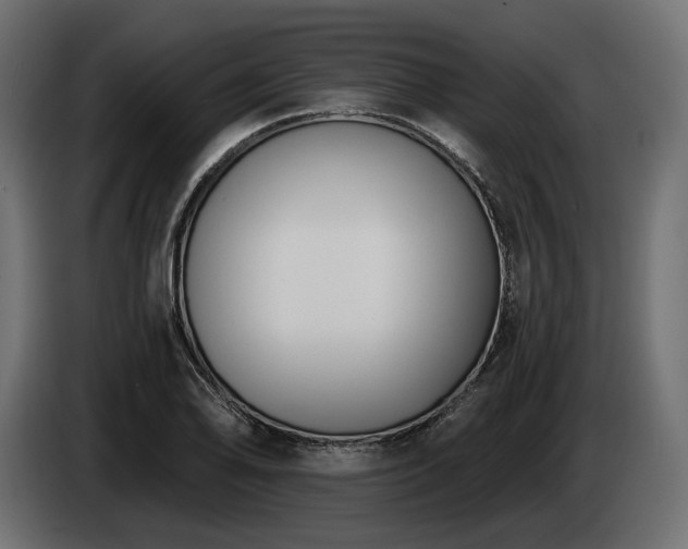 X0000085041078200703051346