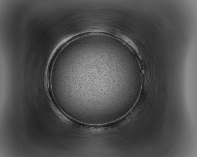 X0000085041080200703051346