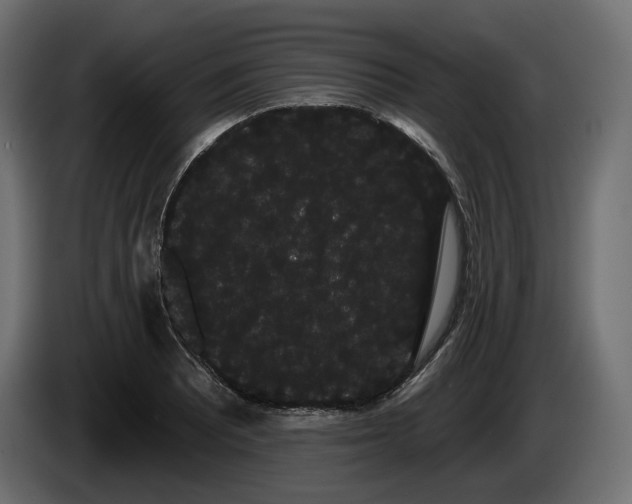 X0000085041081200703051346