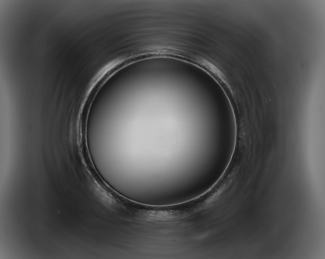 X0000085041082200703051346