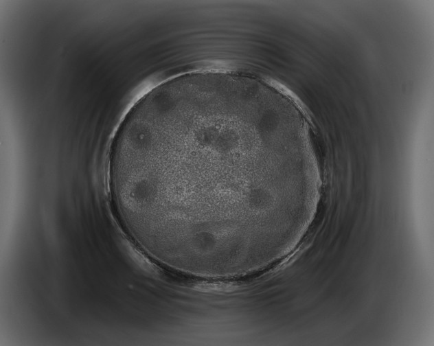 X0000085041083200703051346