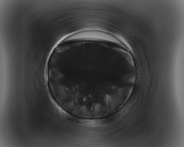 X0000085041084200703051346