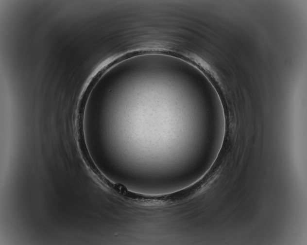 X0000085041085200703051346