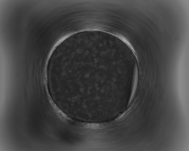 X0000085041088200703051346