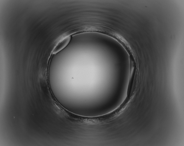 X0000085041089200703051346