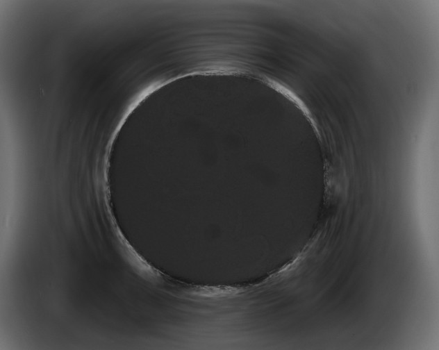 X0000085041091200703051346