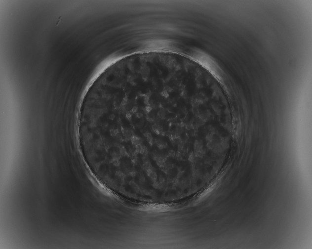 X0000085041094200703051346