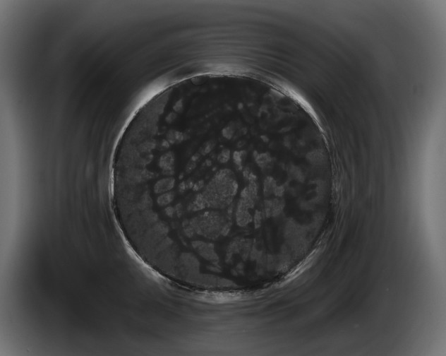 X0000085041095200703051346