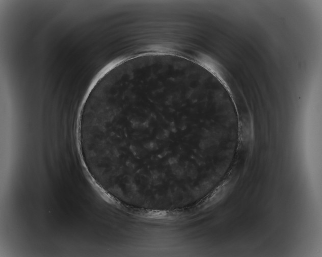 X0000085041098200703051345