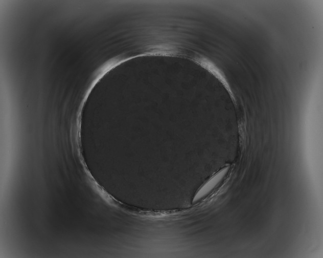 X0000085041099200703051345