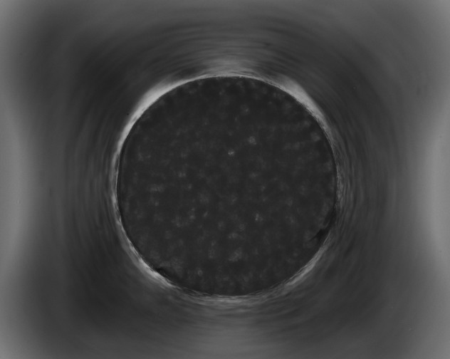 X0000085041102200703051345