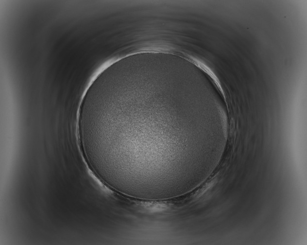X0000085041103200703051345