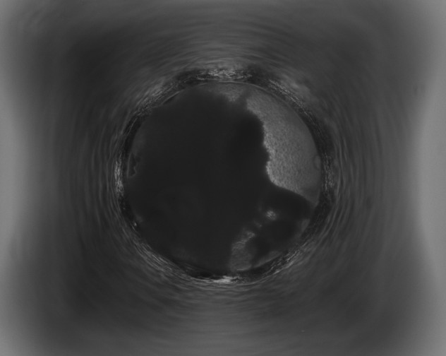 X0000085041106200703051345