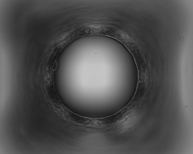 X0000085041109200703051345