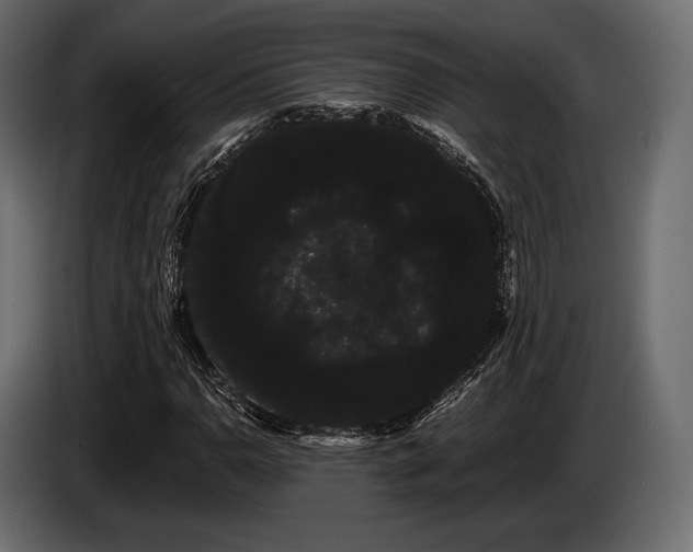 X0000085041110200703051345