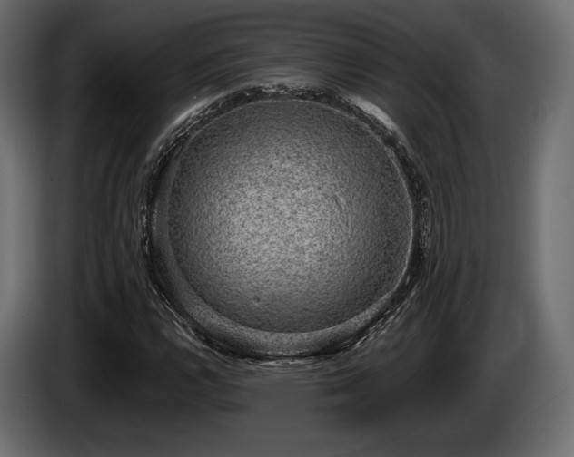 X0000085041112200703051345