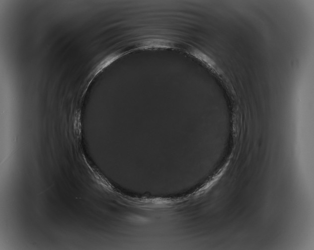 X0000085041113200703051345