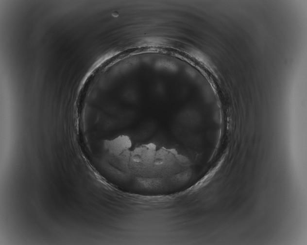 X0000085041117200703051345