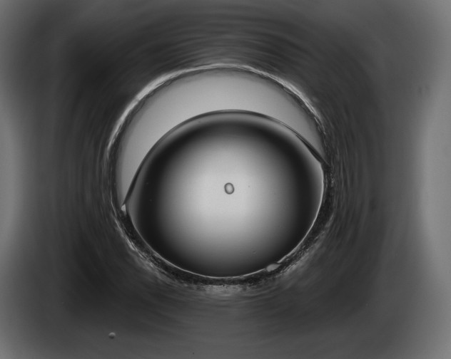 X0000085041118200703051345