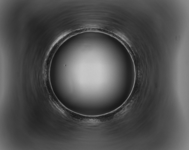 X0000085041119200703051345