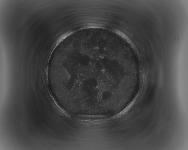 X0000085041121200703051345