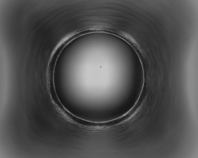 X0000085041122200703051345