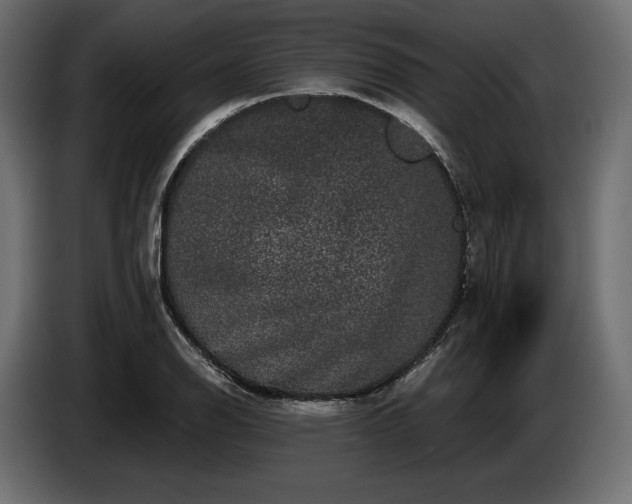 X0000085041126200703051345