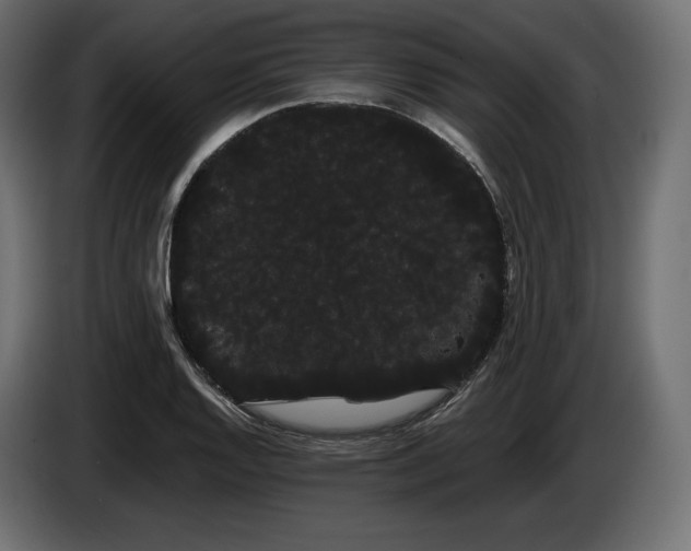 X0000085041128200703051345