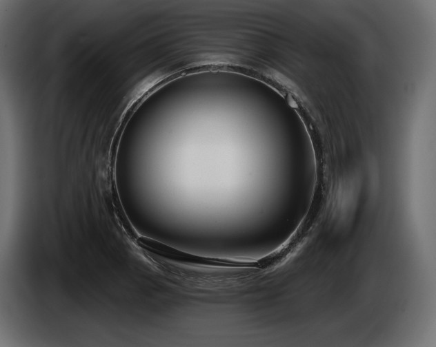 X0000085041129200703051345
