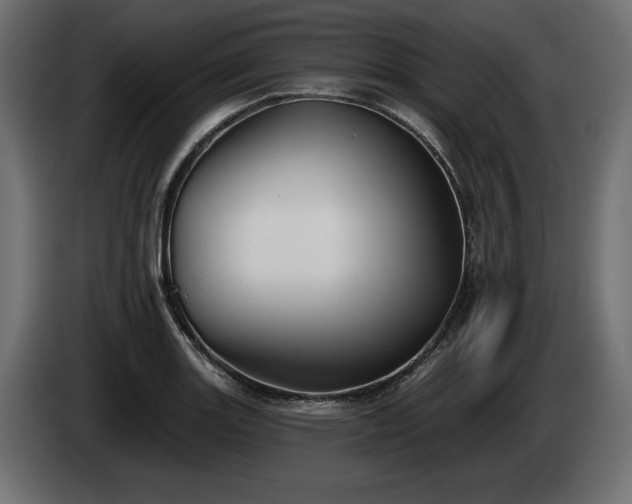 X0000085041131200703051345