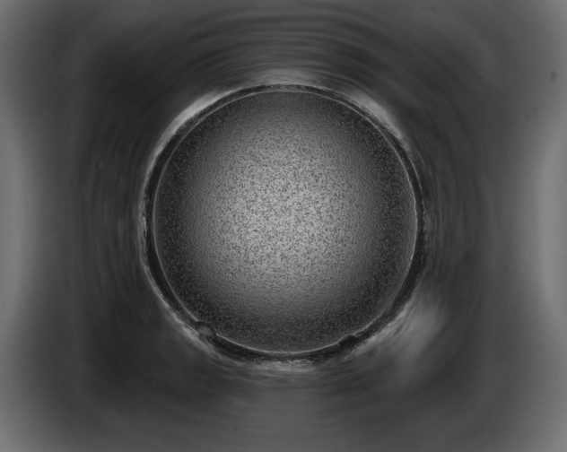 X0000085041133200703051345