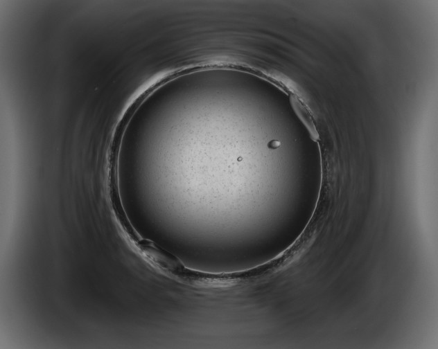 X0000085041134200703051345