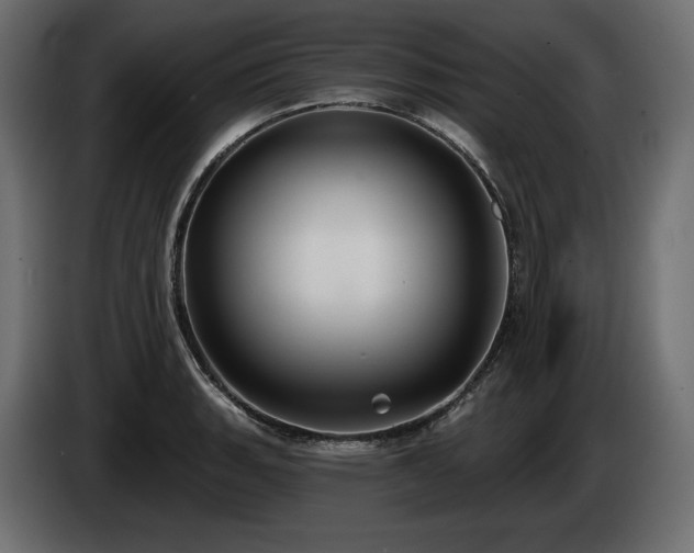 X0000085041135200703051345