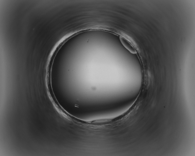 X0000085041136200703051345