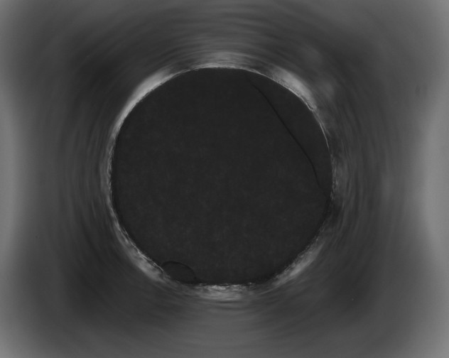 X0000085041138200703051345