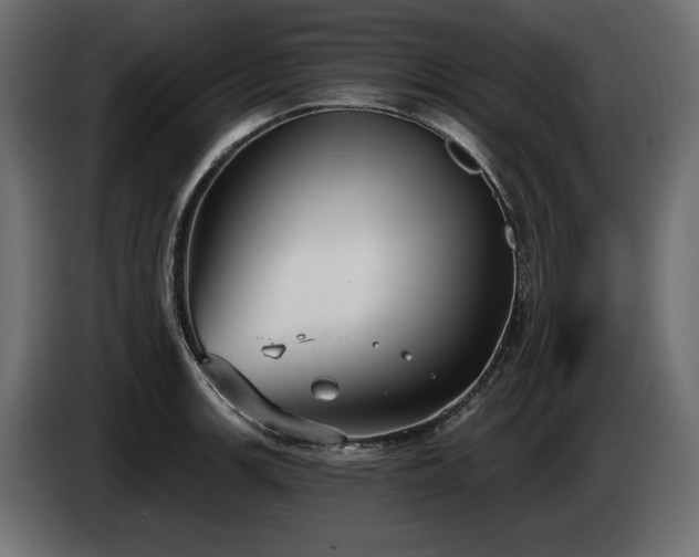 X0000085041139200703051345