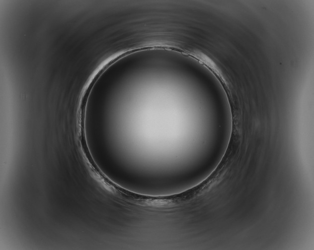 X0000085041140200703051345